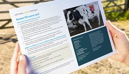 Rumen fill score card 