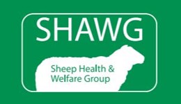 Sheep Health and Welfare Group (SHAWG)