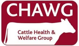 Cattle Health and Welfare Group (CHAWG)