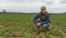 Taunton Monitor Farm summer meeting