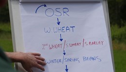 Bingham Monitor Farm - Break crops clinic