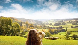 Meat and dairy ad returns to screens this January 