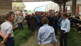 How to become a Strategic Dairy Farm