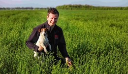 Cambridge final summer farm walk