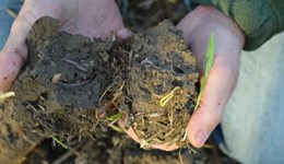 Nottingham: Know your soils