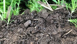 Penrith Monitor Farm Meeting – Regenerative Agriculture, the journey and the research