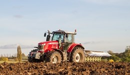 Leverton Monitor Farm: Roots and metal