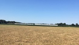 Drought - how to manage the continued dry weather