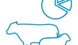 AHDB Beef & Lamb Order Form