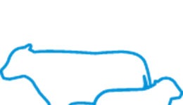 DIY Artificial Insemination