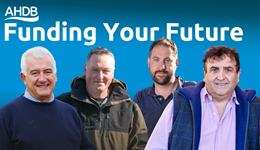 Funding Your Future: your Cereals & Oilseeds sector questions answered