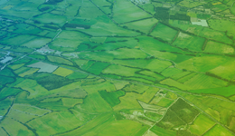 Horticulture and Potatoes activity update