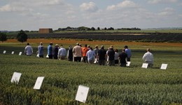 Recommended Lists Variety Open Day Fife