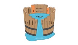 Strategy for nutrient use efficiency
