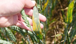 UKCPVS stakeholder event 2025