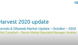 Cereals & Oilseeds Market Update: October 2020