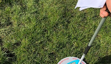 Forage for knowledge