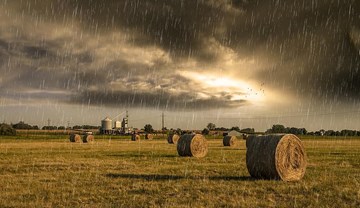 A field of hay bales with storm clouds overhead.