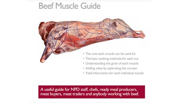 Beef muscle guide