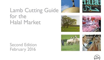Halal: Lamb cutting guide - English