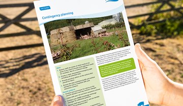 Pig keepers: contingency planning fact sheet