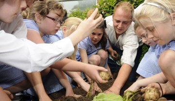 Grow Your Own Potatoes