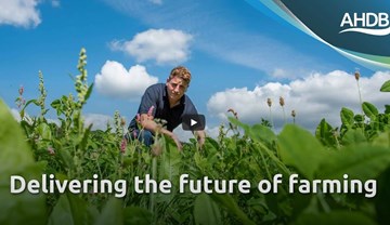 Sector plans | AHDB