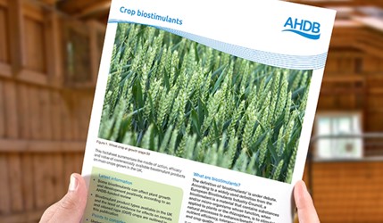 Crop Biostimulants | AHDB