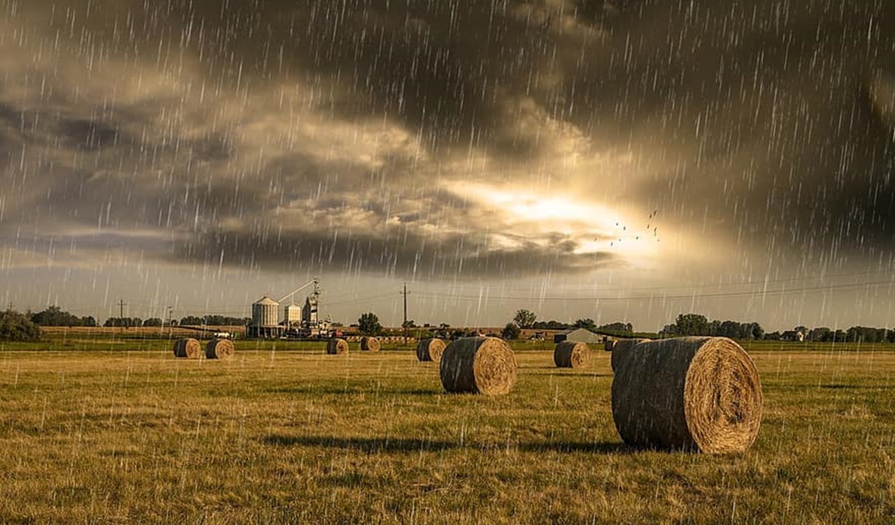 A field of hay bales with storm clouds overhead.
