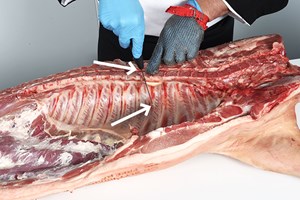 Middle – including Chump Meat Cut Spec Step 1