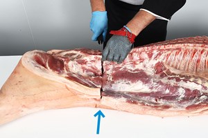Belly – bone-in, rindless Meat Cut Spec Step 2