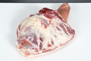 Shank – forequarter Meat Cut Spec Step 1