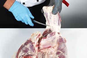Shank Portions – hindquarter Meat Cut Spec Step 1