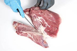Dice (leg muscles 98%VL) Meat Cut Spec Step 2