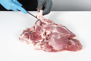 Meat Cut Spec Step 13