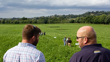 Dillington Farms Image