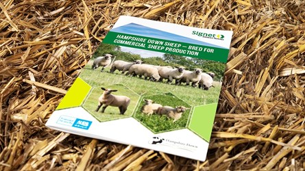 Hampshire down sheep breeding guide cover