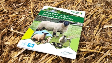 Suffolk sheep breeding guide cover
