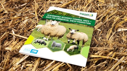 Performance recorded terminal sires guide cover.