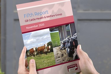 Fifth Report. GB Cattle Health & Welfare Group.