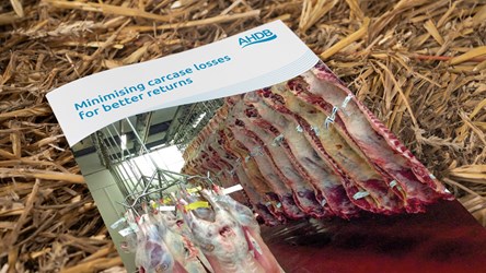 Minimising Carcase Losses front cover