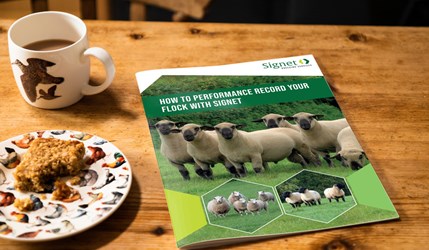 HOW TO PERFORMANCE RECORD YOUR. FLOCK WITH SIGNET.