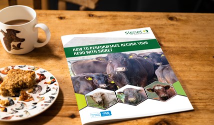 Front cover of how to performance record your herd