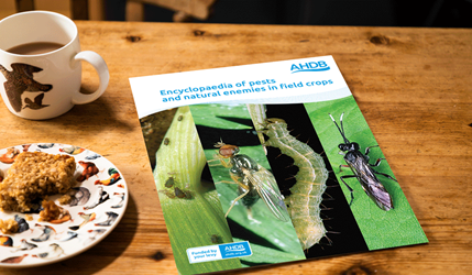 Encyclopaedia of pests and natural enemies on a coffee table.