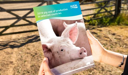 AHDB's 2019 pig cost of production in selected countries