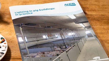 AHDB. Lighting in pig buildings:.