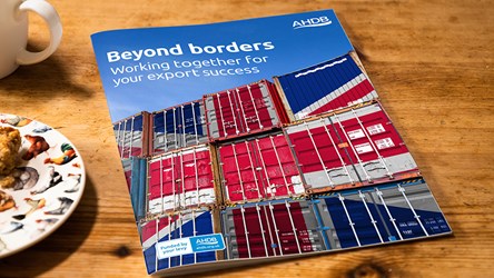 The front cover of the Beyond Borders publication