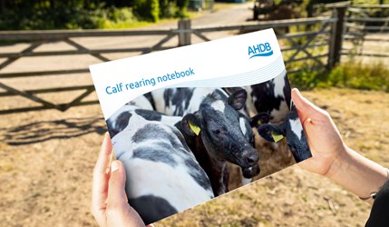 Calf rearing notebook front cover