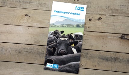 Cattle buyers checklist frontcover