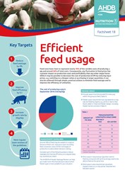 Efficient feed usage | AHDB